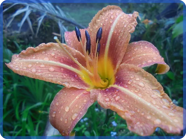 기존 전세자금대출 갈아타기 금융 혜택과 절차 확인하기