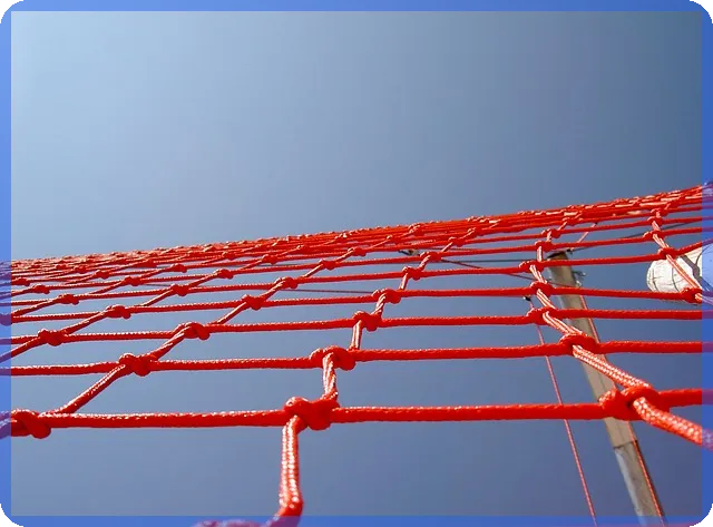 대출 철회 수수료 면제 14일 이내 가능 건강한 금융 선택법