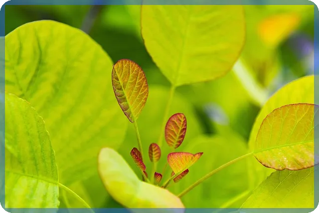 대출통로박스 활용법으로 빠르고 쉽게 대출 신청하는 방법