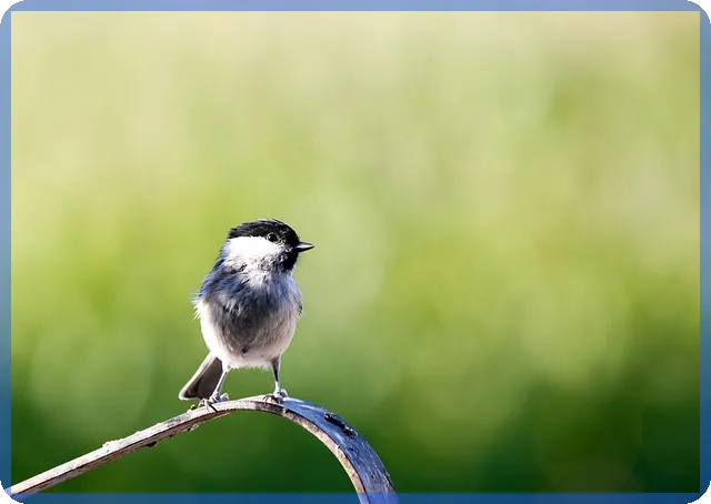 동탄레이크원 비-409 사업자정보와 성공 비결