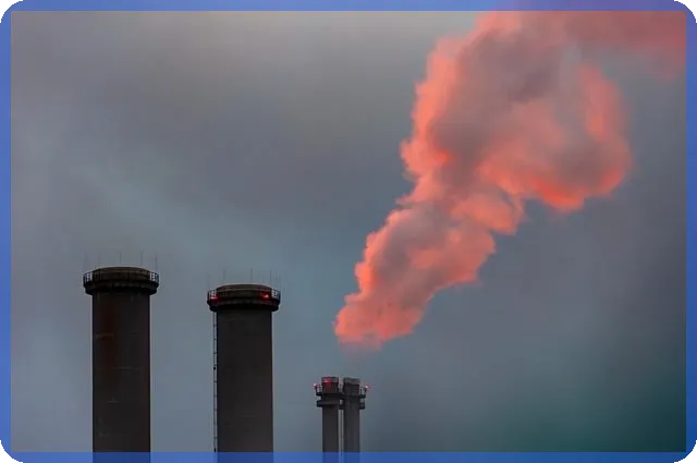 동탄레이크원 비-409 사업자정보와 성공 비결