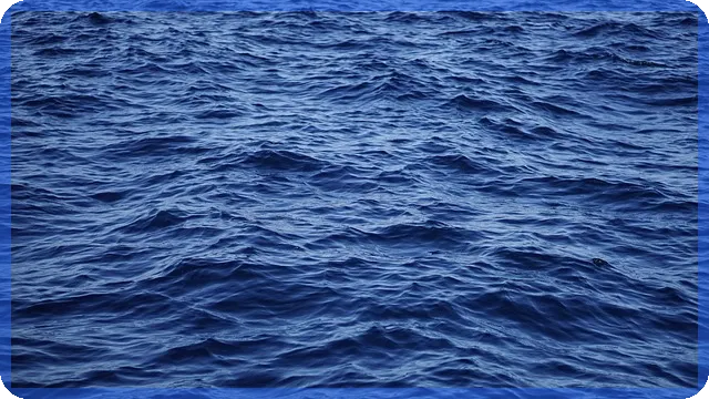 무인도매매 투자, 현실적일까 궁금증 해소하기