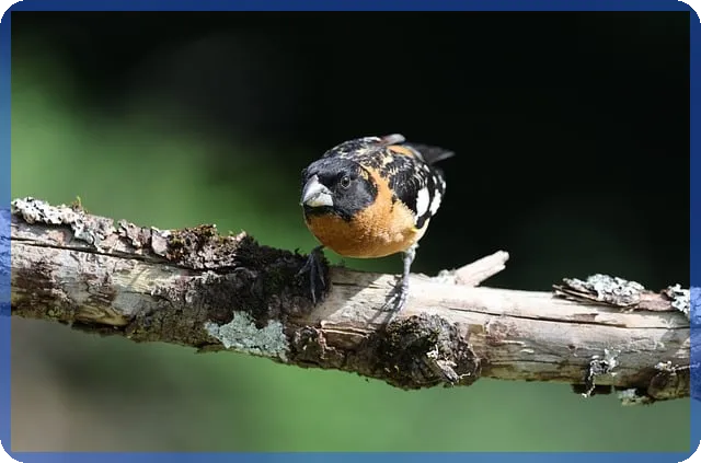 무직자 아파트담보대출 신청법과 조건 분석