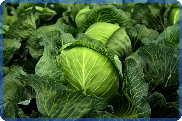 무직자 아파트담보대출 신청법과 조건 분석