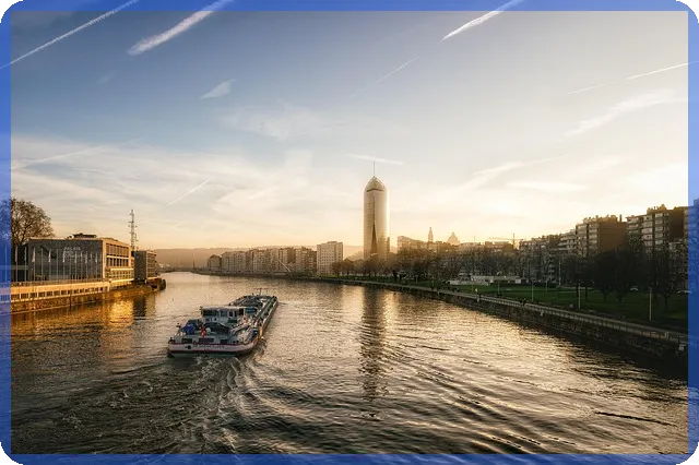 바이젠셀주가 실시간 분석 및 전망