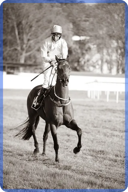 보이스피싱 대출 피해환급 방법과 예방 전략 핵심 정리