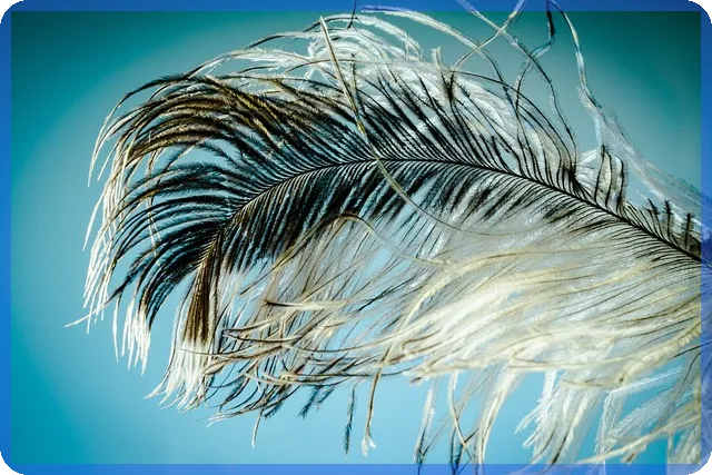 부산상가 매매와 임대 전략 핵심 가이드