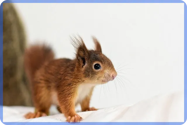 부산상가 매매와 임대 전략 핵심 가이드