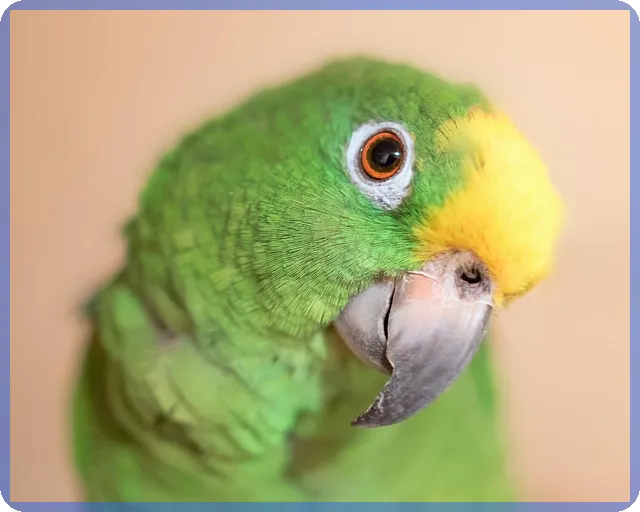 부산상가 매매와 임대 전략 핵심 가이드