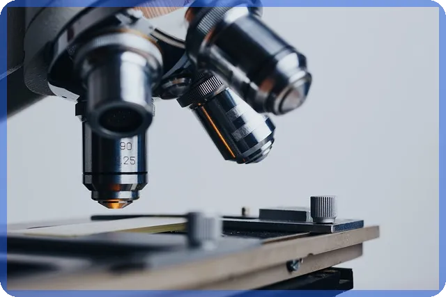 사업자단위과세의 모든 것 사업장별 세금 혜택과 절차