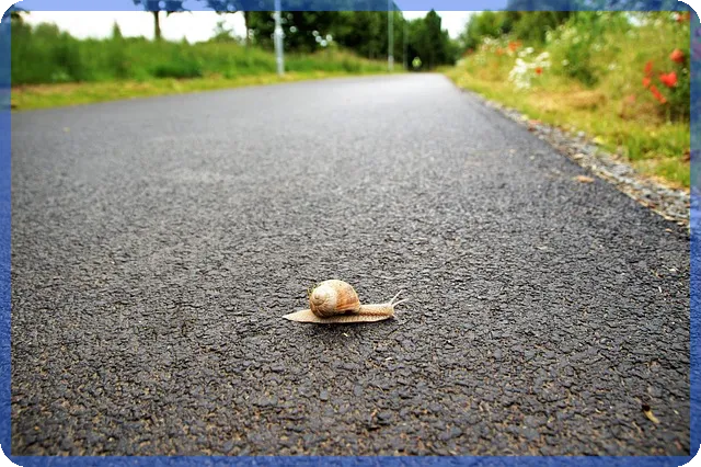 생애최초 디딤돌대출 혜택과 신청요령 알아보기