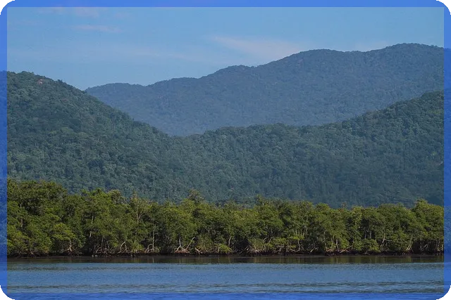 신용대출과 담보대출 차이와 활용법
