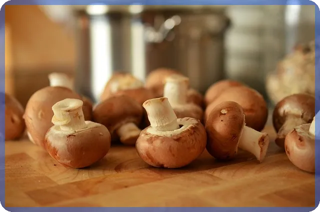 신용보증재단 소상공인대출한도 최대 확보 전략