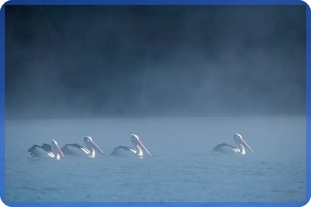 안전망대출2 활용법 최신 가이드로 급전 해결하기
