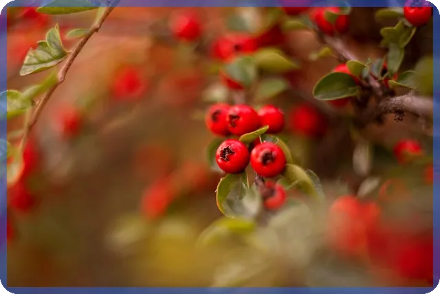 야놀자주식 장외주식 정보와 투자 전략 분석