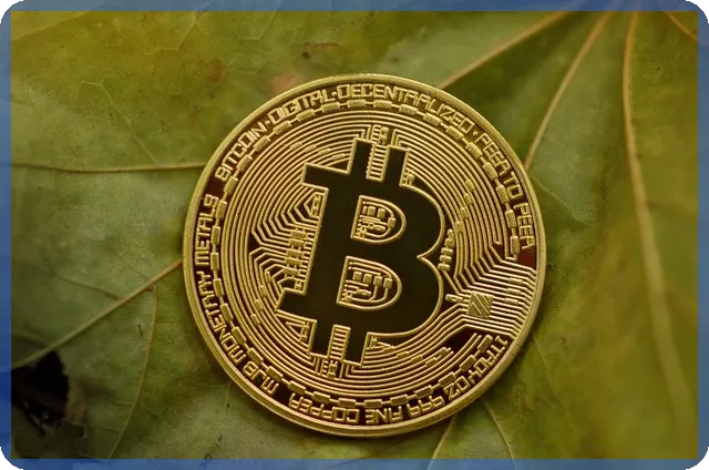 야놀자주식 장외주식 정보와 투자 전략 분석