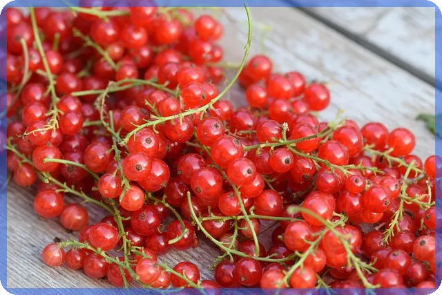 에스티큐브주가 상승 전망과 바이오기업 강점 분석