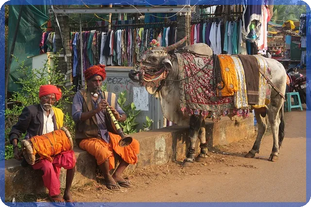 오상자이엘주가 전망과 차트분석 성장을 이끄는 비결은