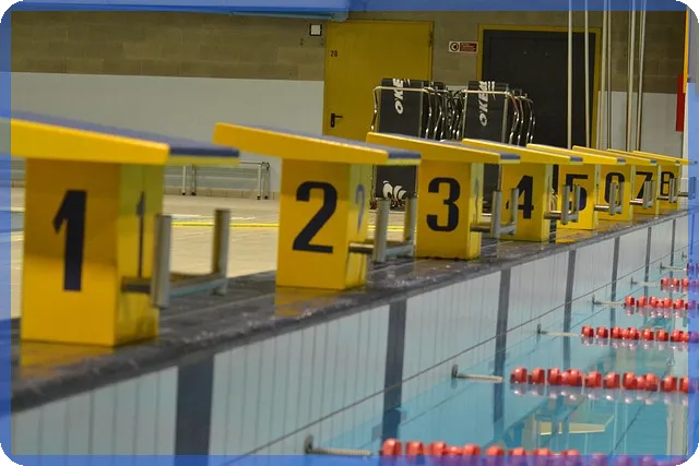 오상자이엘주가 전망과 차트분석 성장을 이끄는 비결은