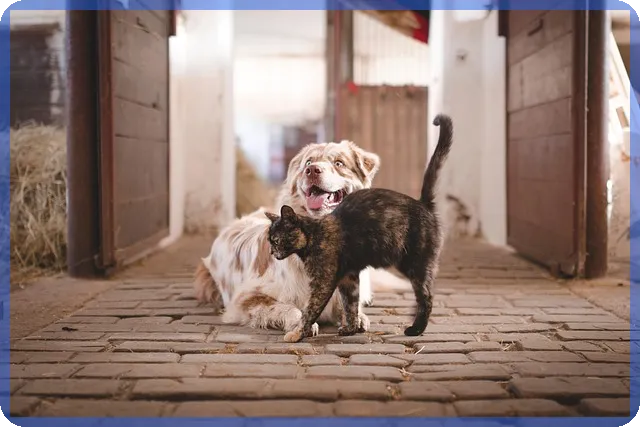 은행지급정지 이해와 예방 방법
