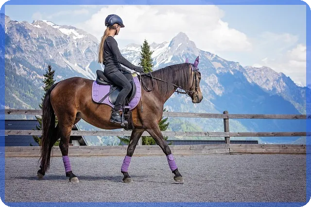 은행지급정지 이해와 예방 방법