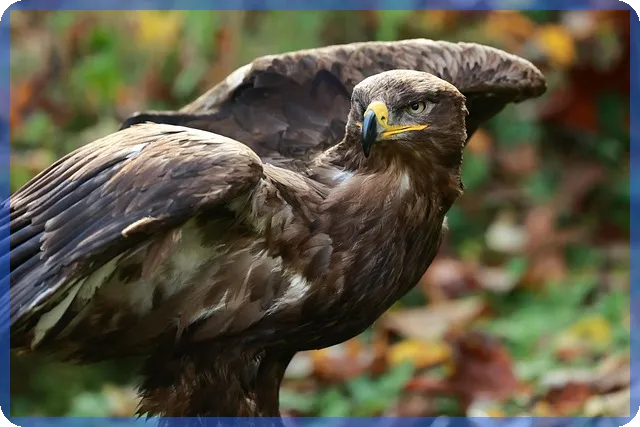 전세대출 3억 이자 계산 핵심 전략과 적용 가이드