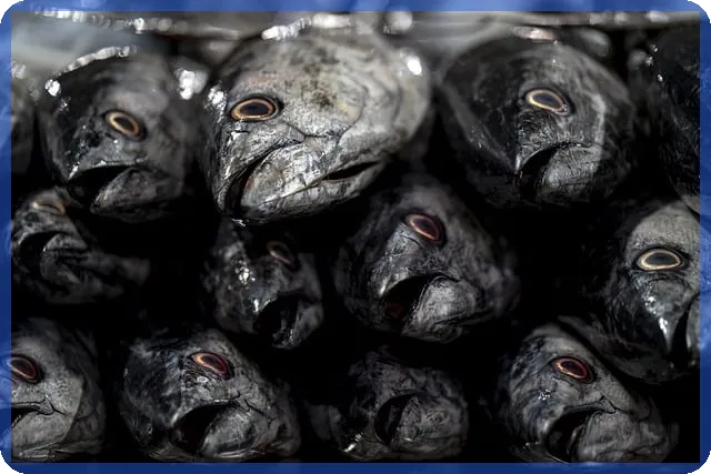 주거용 오피스텔 담보대출 갈아타기 실시간 시세 조회와 간편한 절차