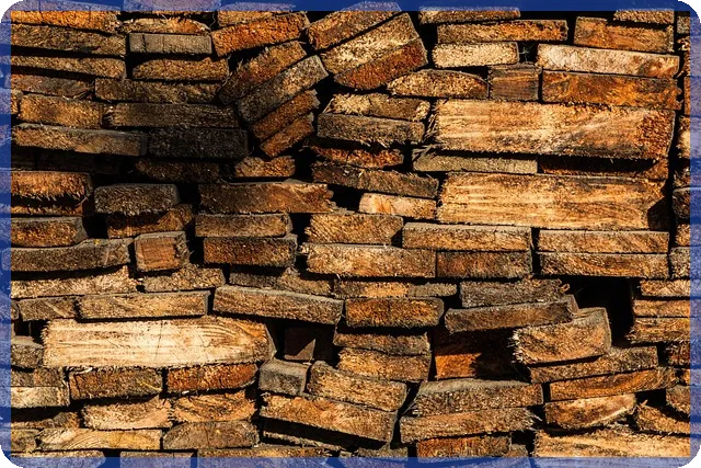 주식중독 위험과 예방 방법 심층 분석