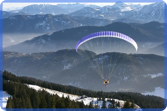주식중독 위험과 예방 방법 심층 분석
