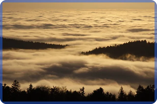 주택담보대출 2주택 규제 변화와 전략