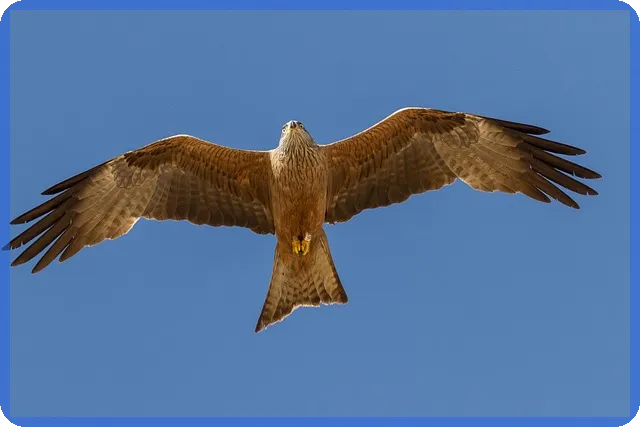 한화손해보험보험금청구 쉽게하는 방법과 준비서류