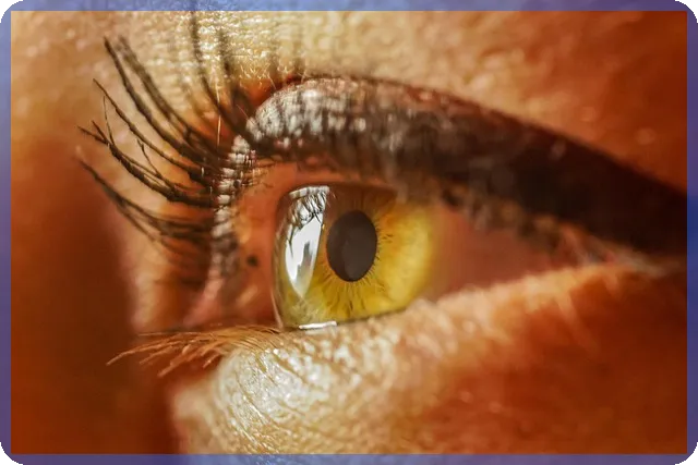 향후 전세자금대출 금리전망 예상과 전략