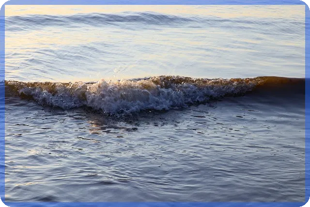 향후 전세자금대출 금리전망 예상과 전략