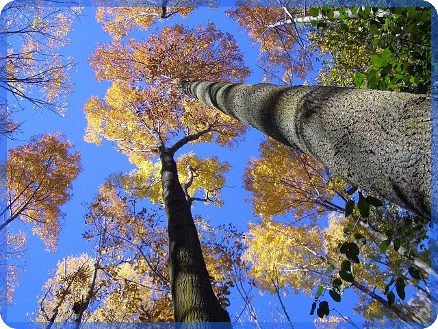 대출금 상환방법 수수료 없이 간편하게 해결하는 방법