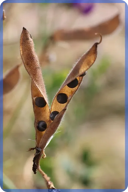 대출금 상환방법 수수료 없이 간편하게 해결하는 방법