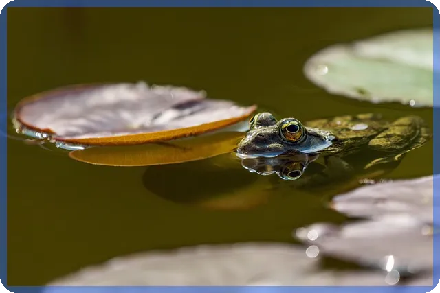 디딤돌대출 필요서류 완전 정리 쉽게 신청하는 방법은?