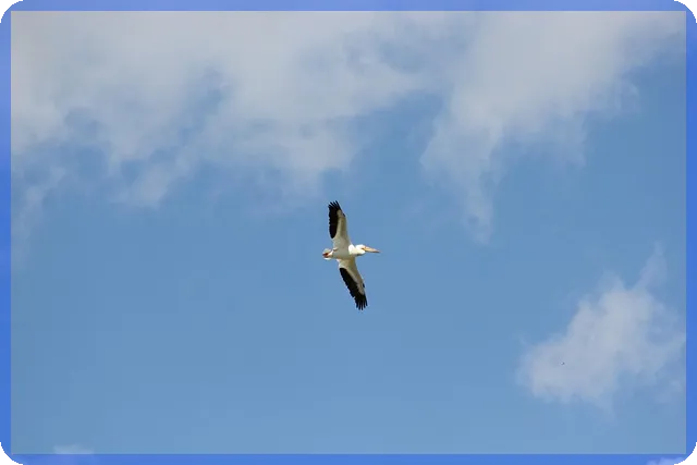 아파트담보대출 계산기 활용법과 최적 대출 전략