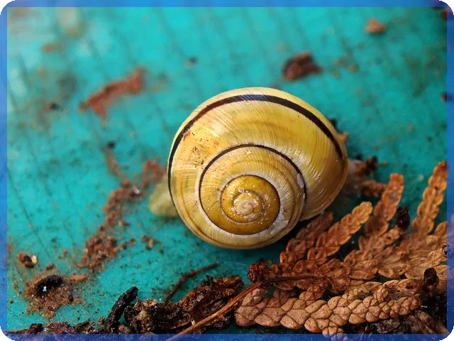 장기연체자대출가능한곳 쉽게 찾기 전략 공개