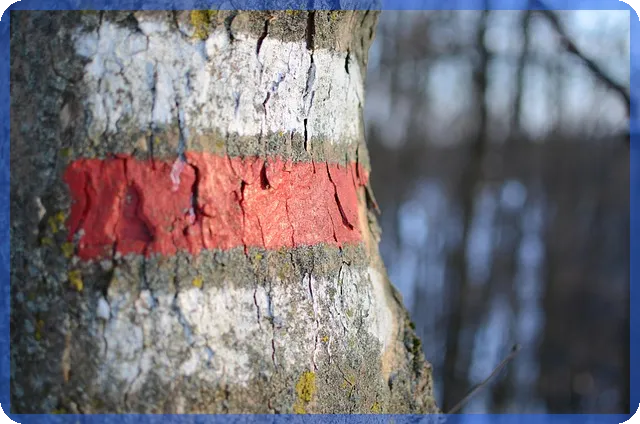 하나은행 아파트 담보대출 한도 핵심 가이드 탐구