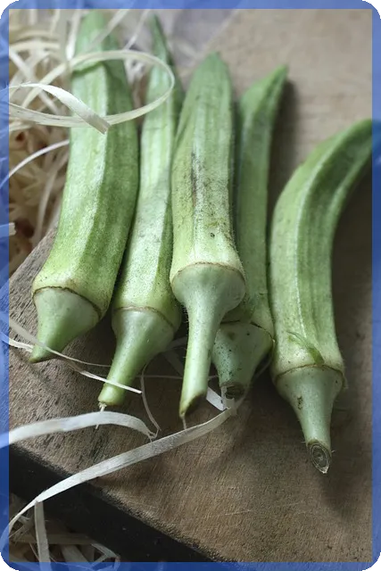 국민은행 주택담보대출금리 최저와 최고 기준 알아보기