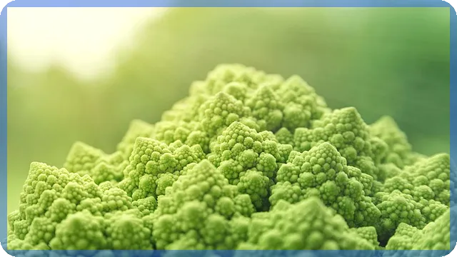 근로자장려금 신청 꿀팁과 핵심 조건 총정리