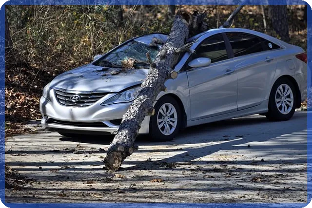 근로자장려금 신청 꿀팁과 핵심 조건 총정리