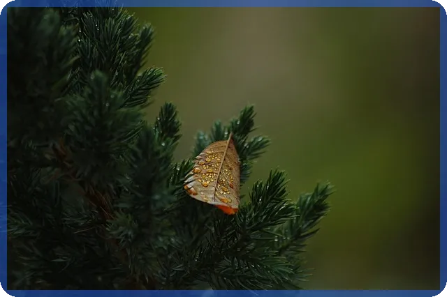 무주군경매 통해 저렴한 숙박시설 매수하는 방법