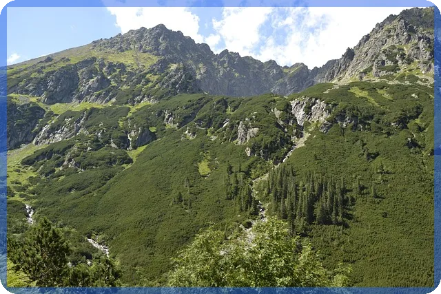 무주군경매 통해 저렴한 숙박시설 매수하는 방법