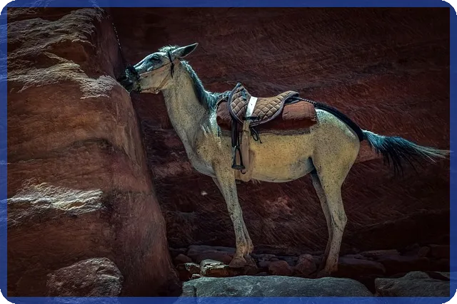 무주군경매 통해 저렴한 숙박시설 매수하는 방법