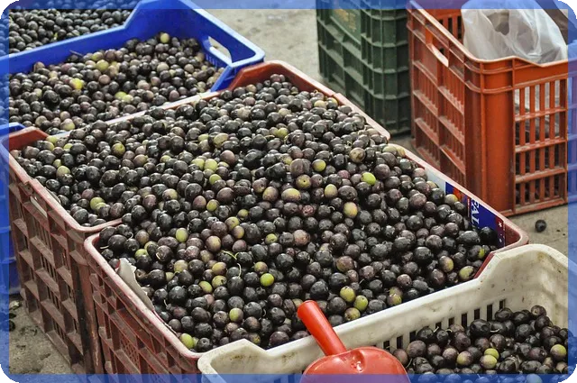 생계급여금액 실수 없이 이해하는 방법과 신청 절차