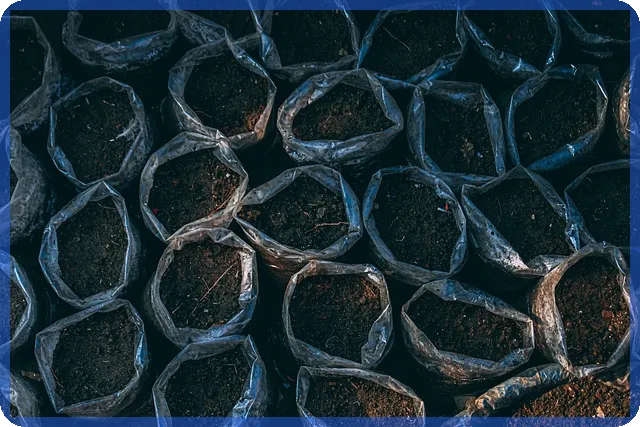 소상공인시장진흥공단대출 성공 전략과 최신 혜택