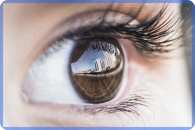 수입차판매순위 상위 3위 차종 공개 인기비결은