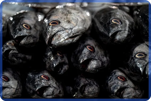 수입차판매순위 상위 3위 차종 공개 인기비결은