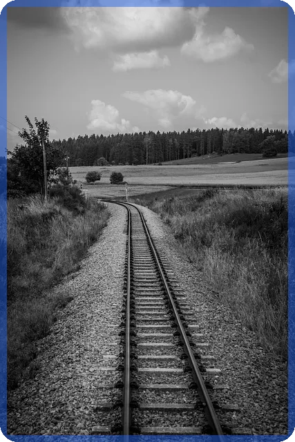 술양주 사기 조심하라 자영업자들이 말하는 법